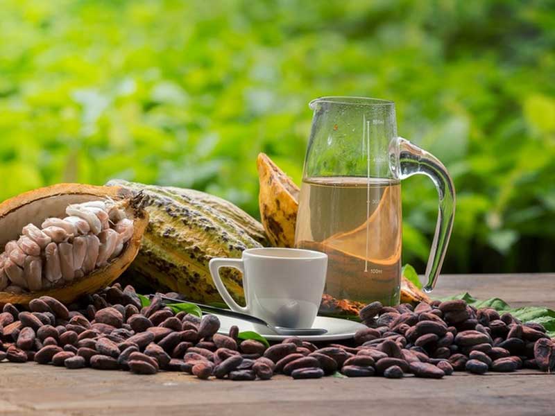portable cocoa roaster for small - batch roasting