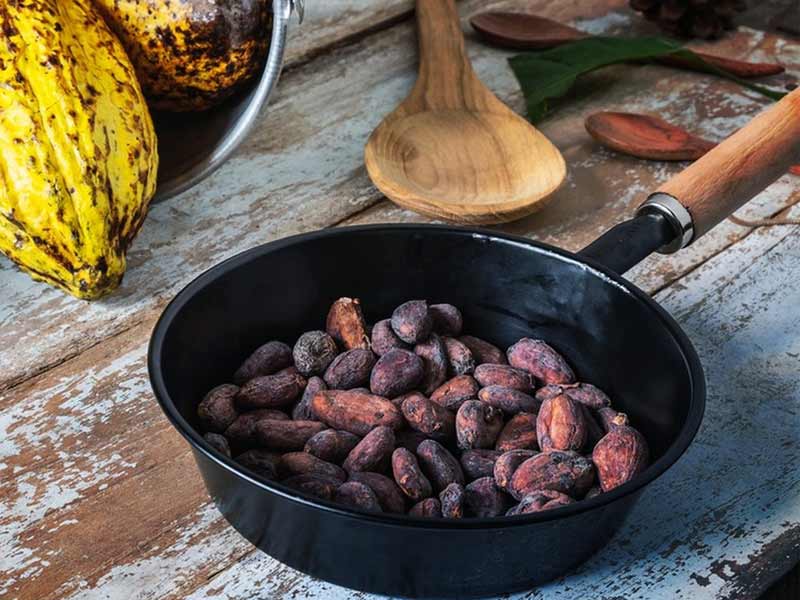 smart - temperature - control cocoa roaster for professional roasters