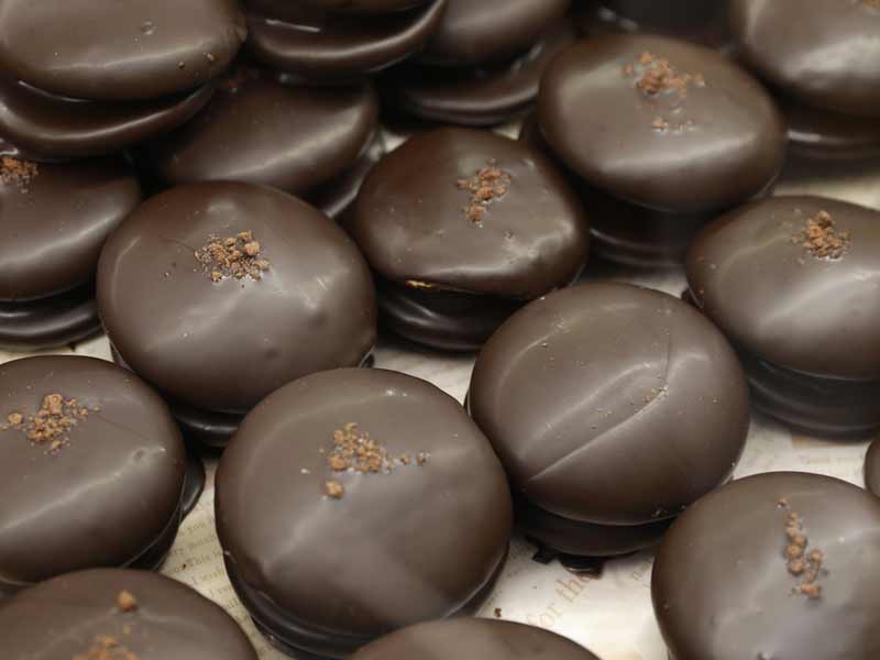 digital - control home chocolate enrober for precise coating