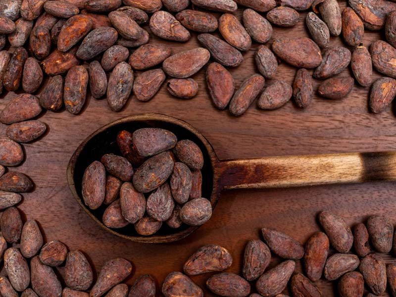Industrial Cacao Beans Processing Plant with Roasting - Winnowing Integration