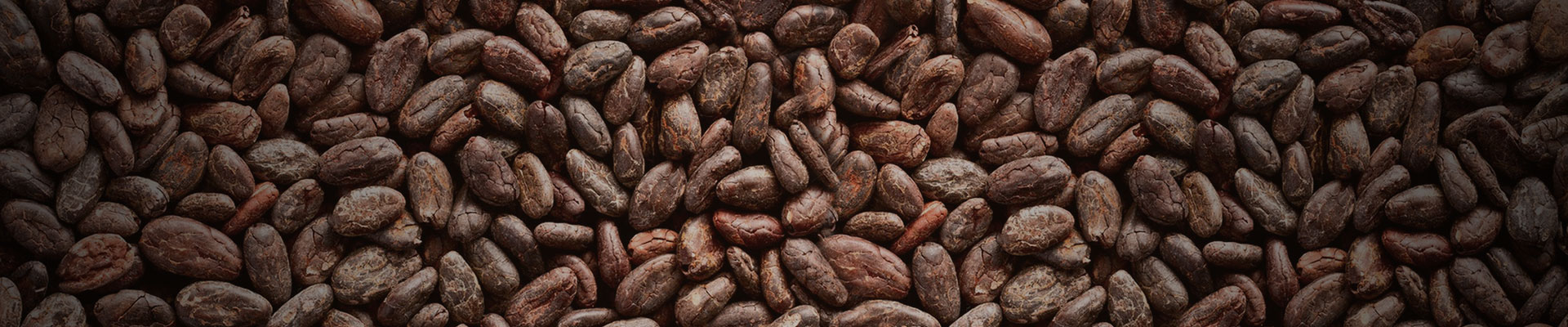 Cacao Bean Grinder Machine
