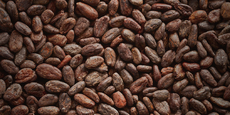 Cacao Bean Grinder Machine