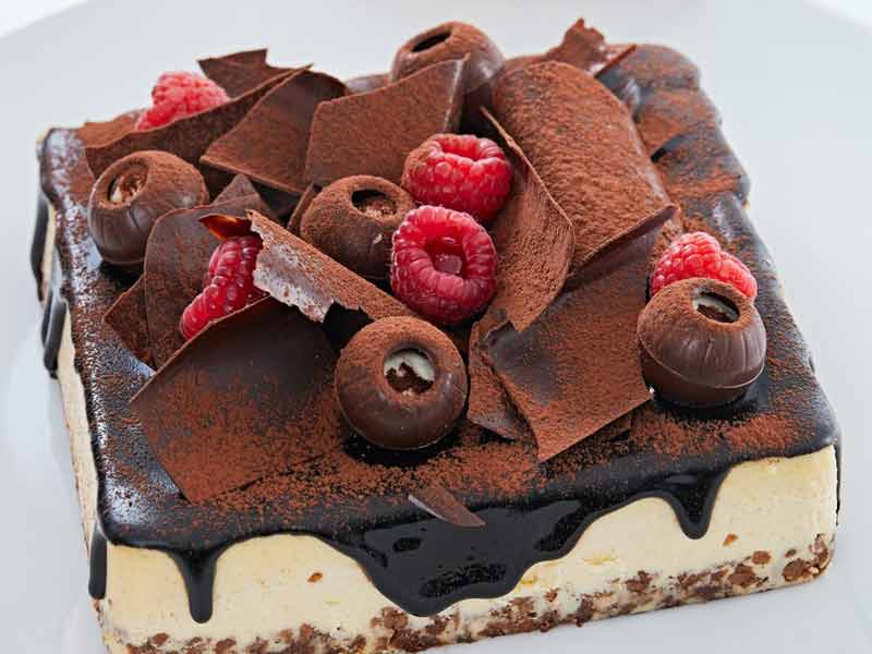 cocoa powder production process technology