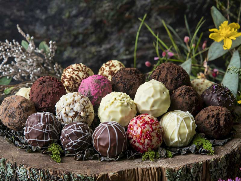 temper machine for chocolate coating