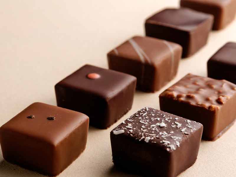 Home Chocolate Making Machine vs Professional: Which to Buy?