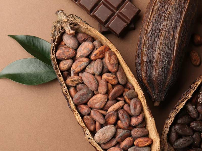 Small batch cocoa bean roasting machine for micro - chocolatiers