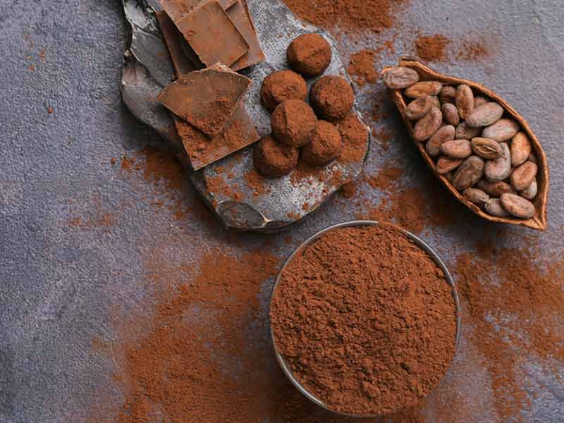cocoa powder production process optimization