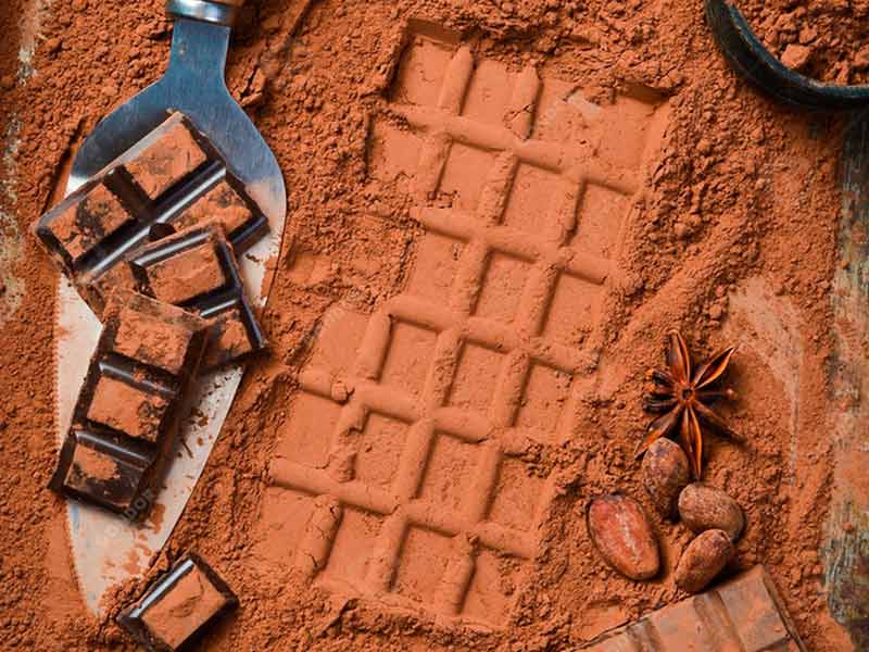 professional cocoa powder manufacturing plant design