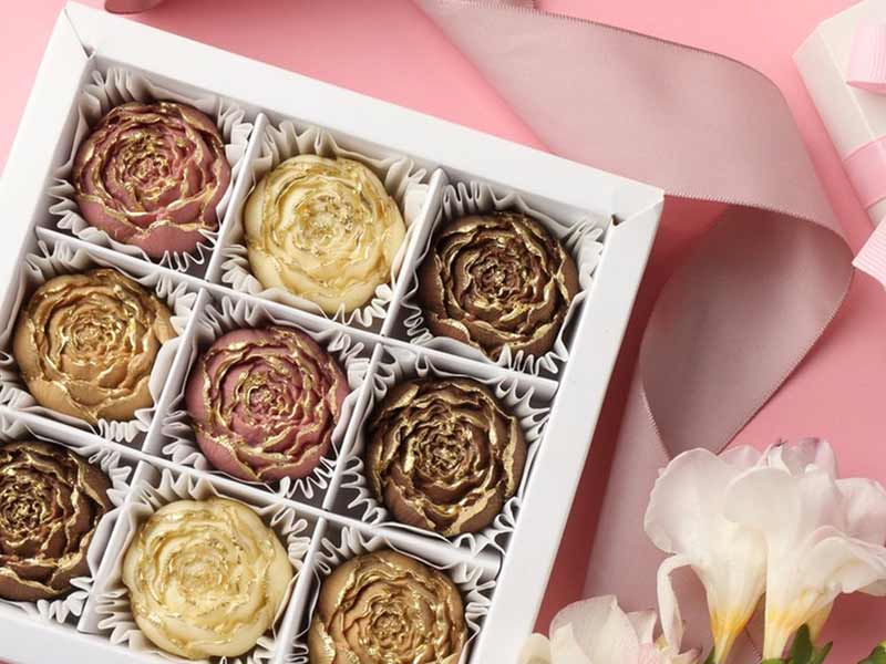 high - end chocolate manufacturing machine cost