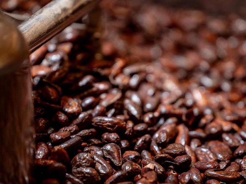 Pierre à broyer le chocolat utilisé pour les matériaux à base de cacao