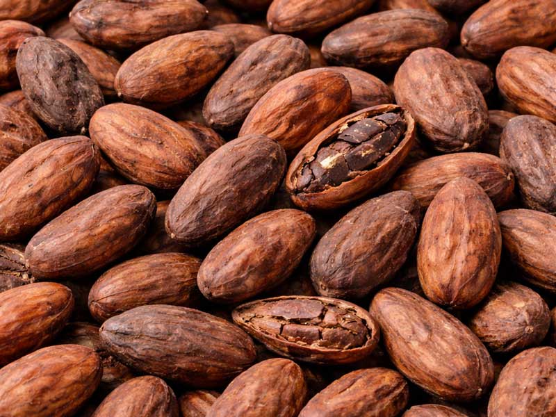 Machine automatique d'épluchage de fèves de cacao pour les fèves de cacao