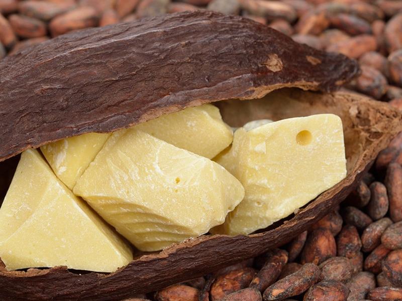Prétraitement d'extraction du beurre de cacao